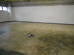DSCN1459